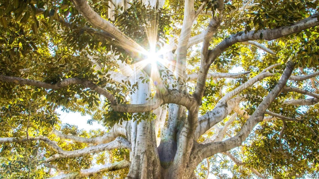 ⁣Nature - feel it!